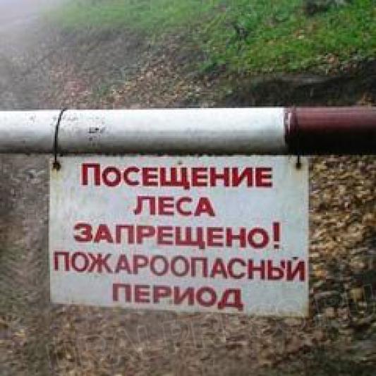 В Рыбинске вводится противопожарный режим